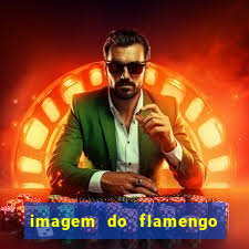 imagem do flamengo para perfil